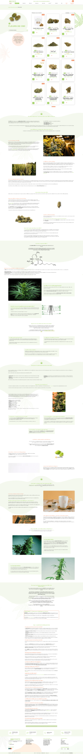 Page catégorie e-commerce Page catégorie de produit