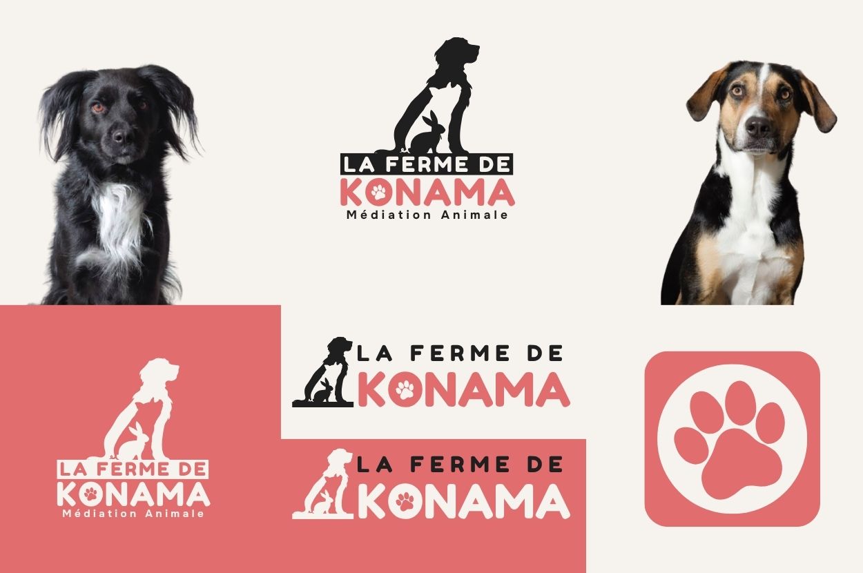 Une identité visuelle adapatée à l'activité